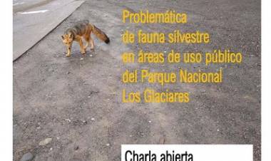 Hoy lunes 26 a las 18 hs. charla en el Auditorio del Parque Nacional 