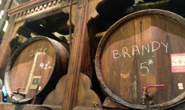 MADERA Y VINO: El Roble, nadie lo ve ¡pero está! - Leo Saracho