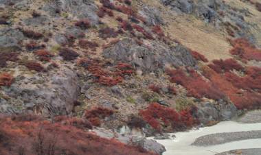 Rescatistas encontraron a Romina