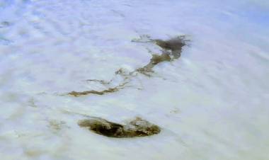 Soneto de las filtraciones