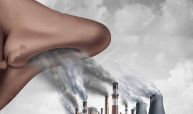 Polución ambiental y enfermedades cardiovasculares: La importancia de la calidad del aire que respiramos