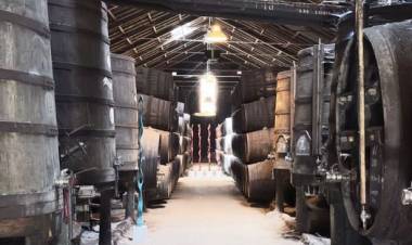 Porto, el dulce néctar - Por Leo Saracho