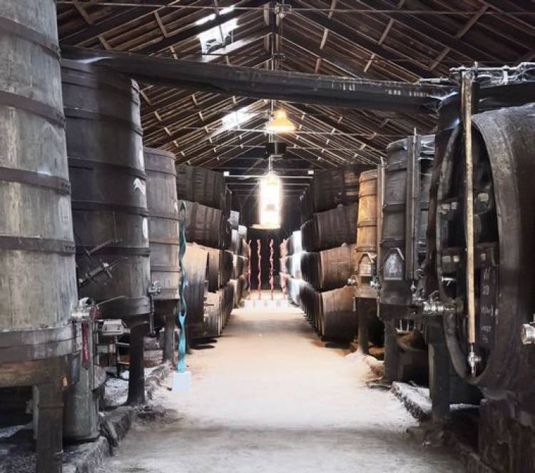 Porto, el dulce néctar - Por Leo Saracho